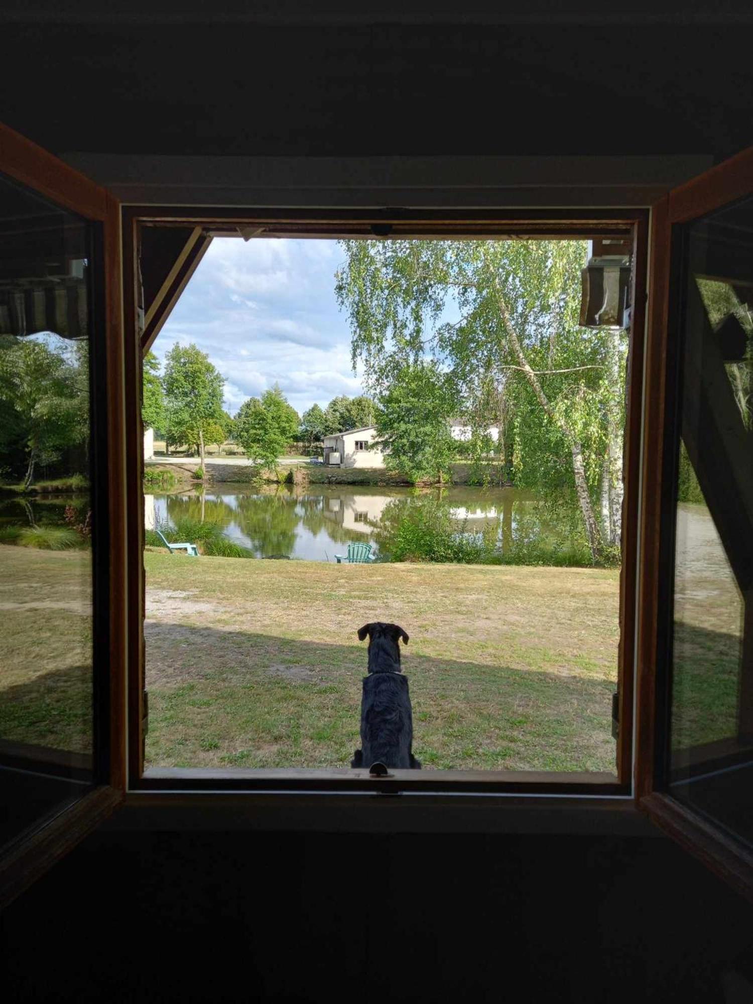 Le Chalet Limousin Folles Luaran gambar